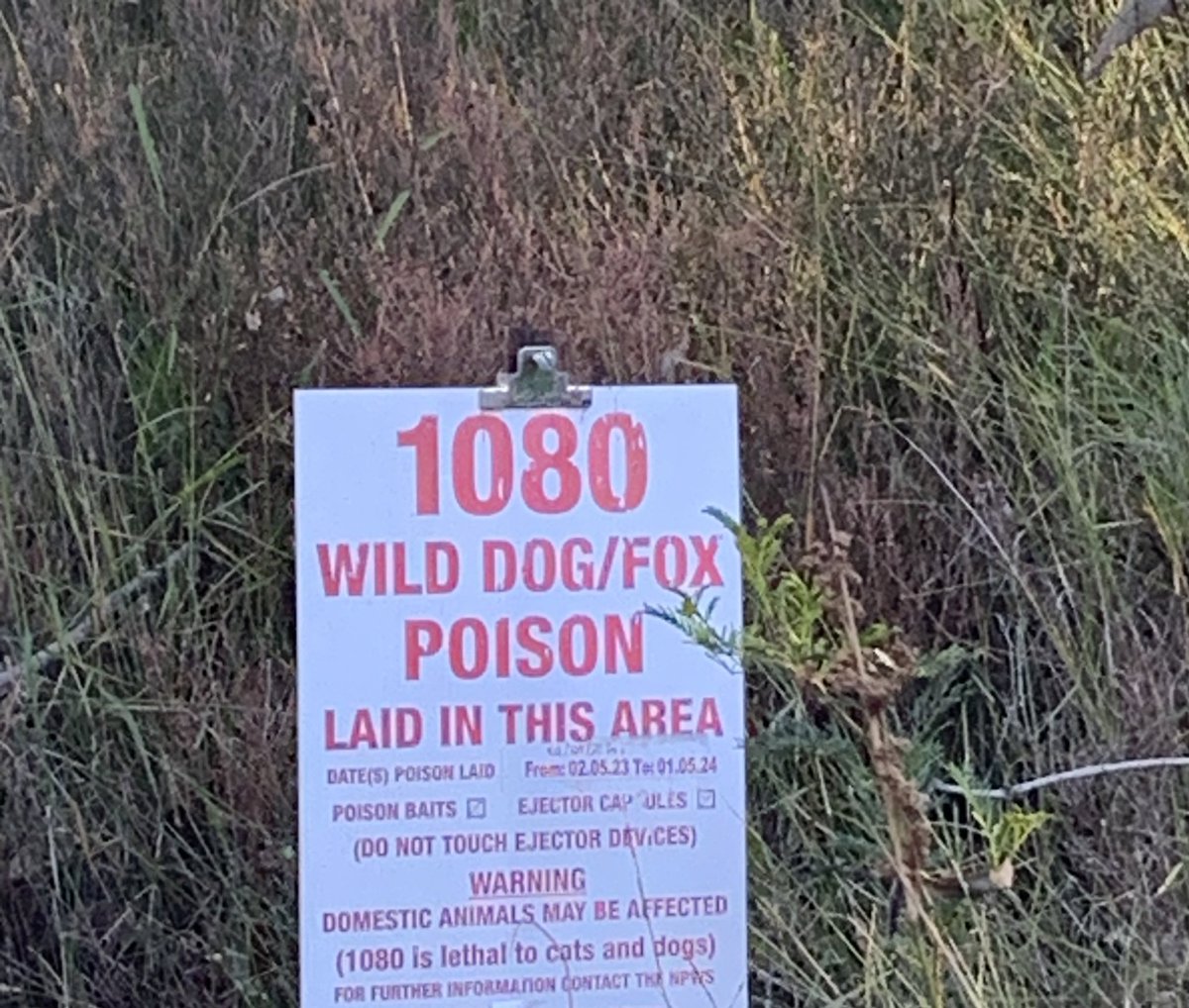 Dr Kylie Cairns tweet media