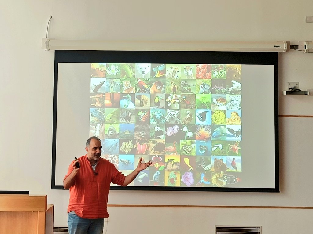 NCBStheory's tweet photo. @shaon_chak @NobelPrize @NCBS_Bangalore @BLiSC_India @SimonsFdn @DeepaAgashe @TIGS_India @Vijay_K_Murthy @ictstifr @TIFRScience @niser_official Day 9 of #PhysicsOfLife2023 ended with a fascinating talk by @KobeScienceBoy on the role of #force in the organisation of inner ear during #developement!

He talked about various facets of his research on inner ear #morphogenesis using systems like mice &amp; chicken embryos! https://t.co/r1wzf0KW2c