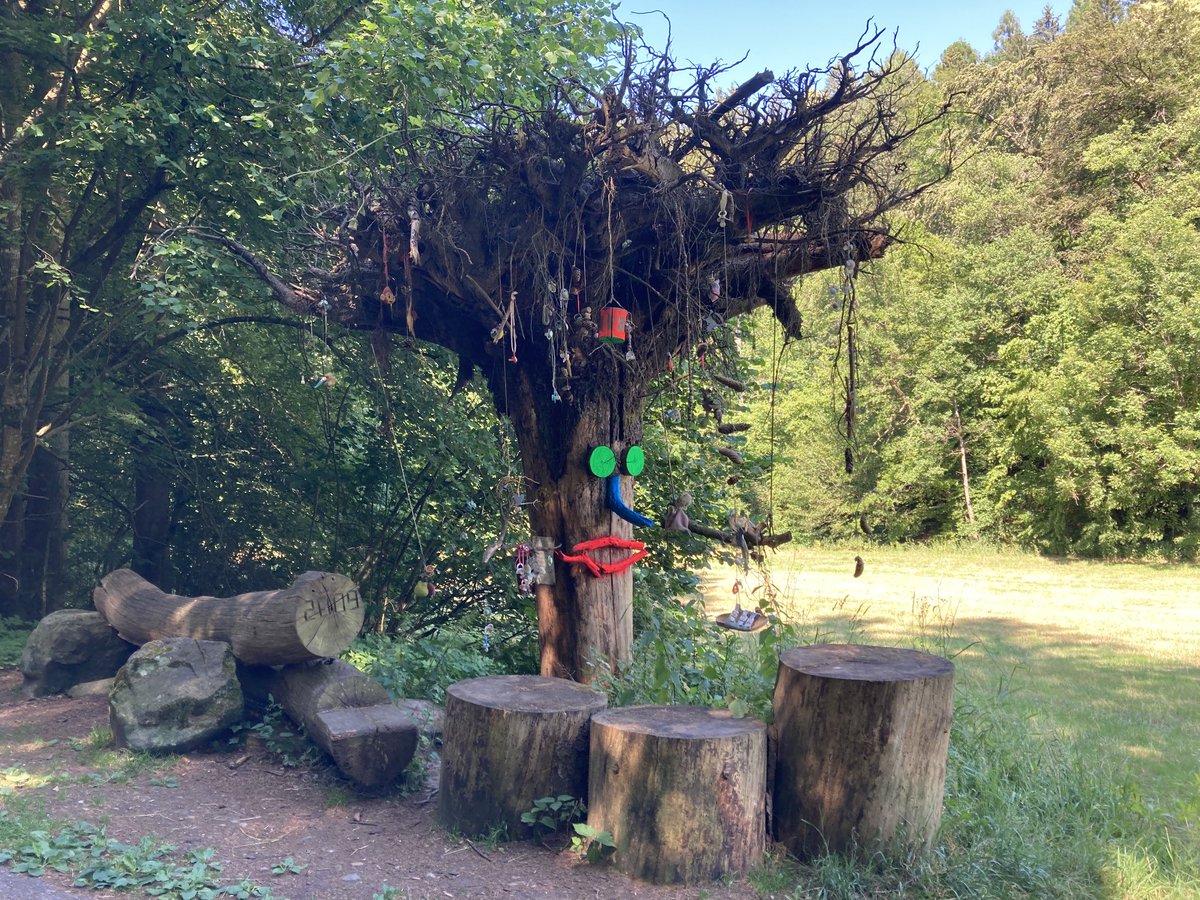maryanndanowitz's tweet photo. I saw my first Wald (Forest) Kindergarten on a hike in Southwest Germany—a preschool where children 3-6 play &amp; learn almost entirely outdoors, regardless of weather &amp; teachers support rather than lead. There is much from this to consider to innovate US early childhood education. https://t.co/rofl0d4CRJ