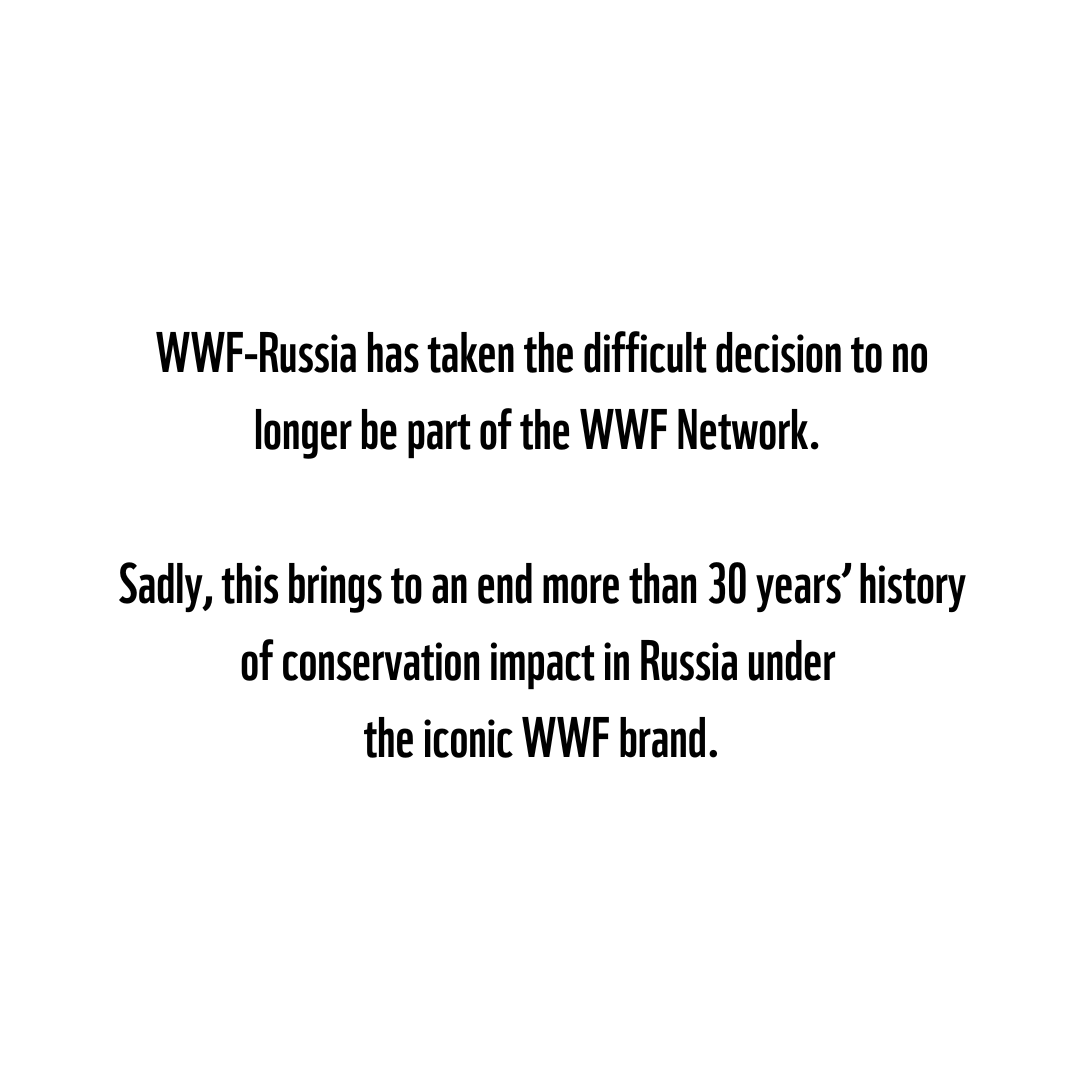 WWF's tweet image. See our full statement here: updates.panda.org/wwf-internatio…