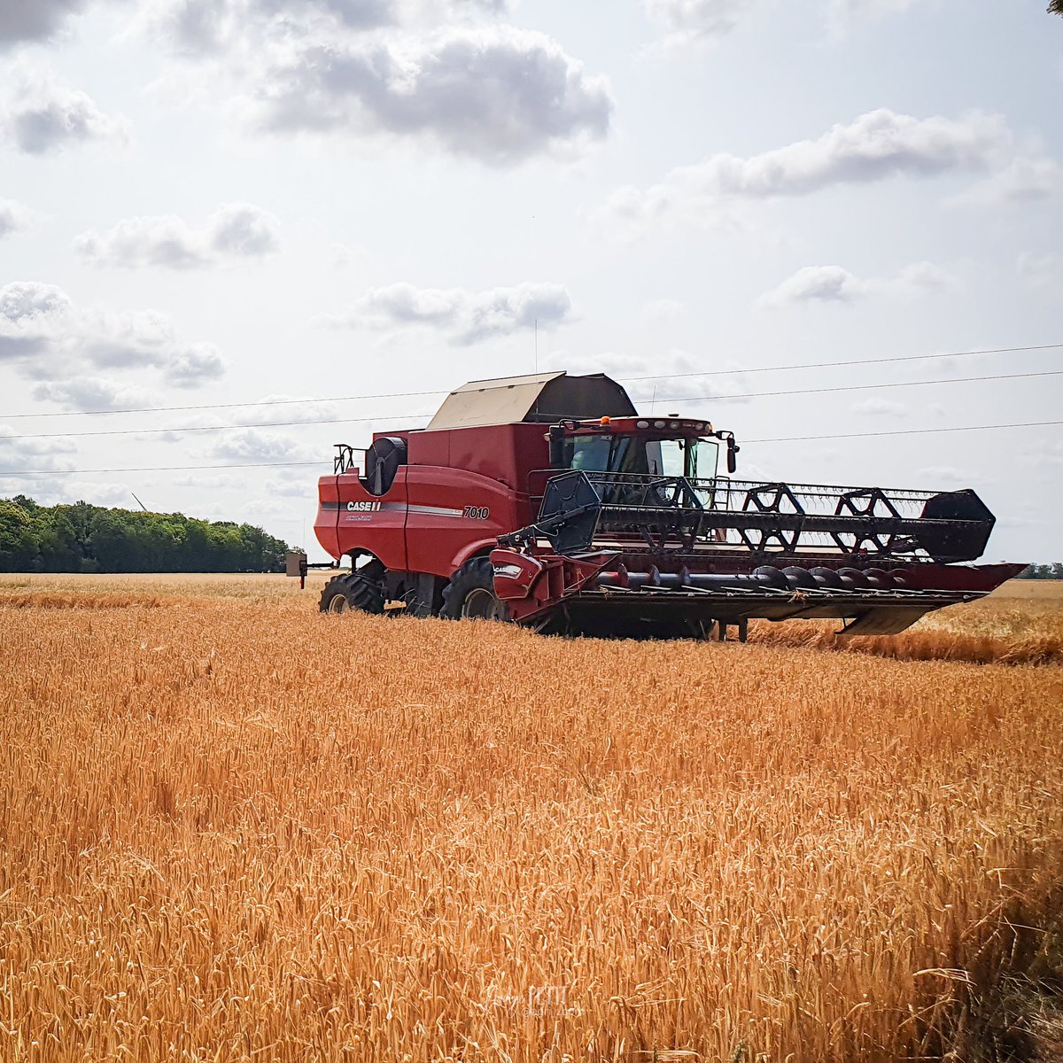 agri_zoom's tweet image. ✅️ 2ème journée #FrAgriMoisson2023

✅️ 2ème champ

✅️ 2ème destination : Salamandre, variété brassicole produite pour de la multiplication de semences...
Donc pas pour la bière 🍻 du tweet apero 2️⃣0️⃣2️⃣4️⃣, mais peut être 2️⃣0️⃣2️⃣5️⃣ ?
#FrAgTw