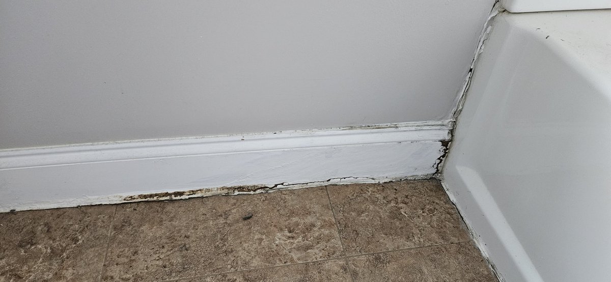 Landlord Tycoon on Twitter "Replaced rotted MDF trim in bathroom. How