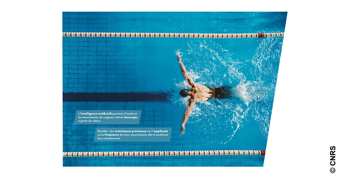 #CNRSsport 🏊 | L’#IA permet d'analyser les mouvements des nageurs, même immergés, à partir de vidéos. Ce sujet est étudié par Romain Vuillemot <a href="/romsson/">Romain Vuillemot</a>, maître de conférences à <a href="/CentraleLyon/">Centrale Lyon</a> et membre du <a href="/LIRISLyon/">LIRIS</a>
➡️ ins2i.cnrs.fr/fr/cnrsinfo/le…
🤝 <a href="/CNRS_dr07/">CNRS Rhône Auvergne</a> <a href="/insadelyon/">INSA Lyon</a> <a href="/UnivLyon1/">Université Lyon 1</a>
