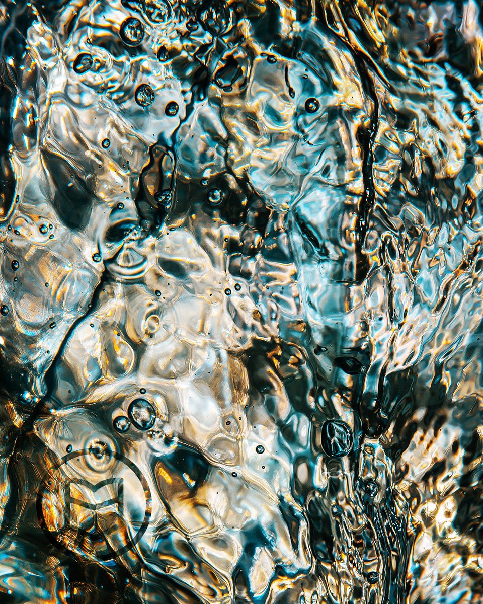 Pockitudes™ tweet media