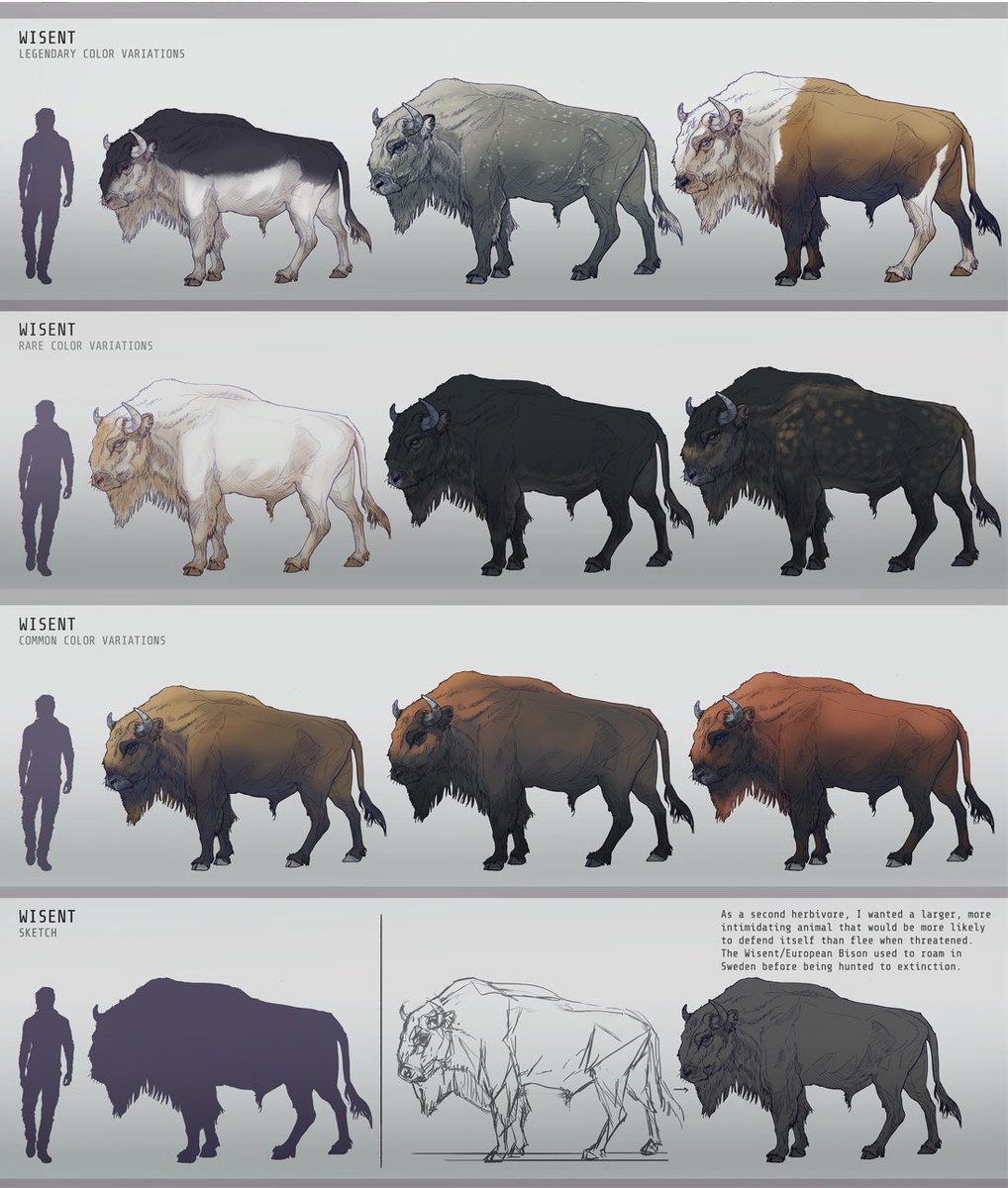 BloodstockGame's tweet image. A while back i visited Kolmarden which is apparently one of the largest nature parks in the world. I got to see Visents(European buffalo) that used to roam wild but we’re hunted to extinction. I love them and want them in the game, either as livestock or for hunting #conceptart