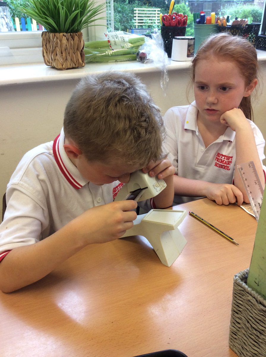 Thank you to one of our parents and Skegness Academy for lending us some special microscopes and images of plant roots to support Year 3’s Science learning this afternoon.