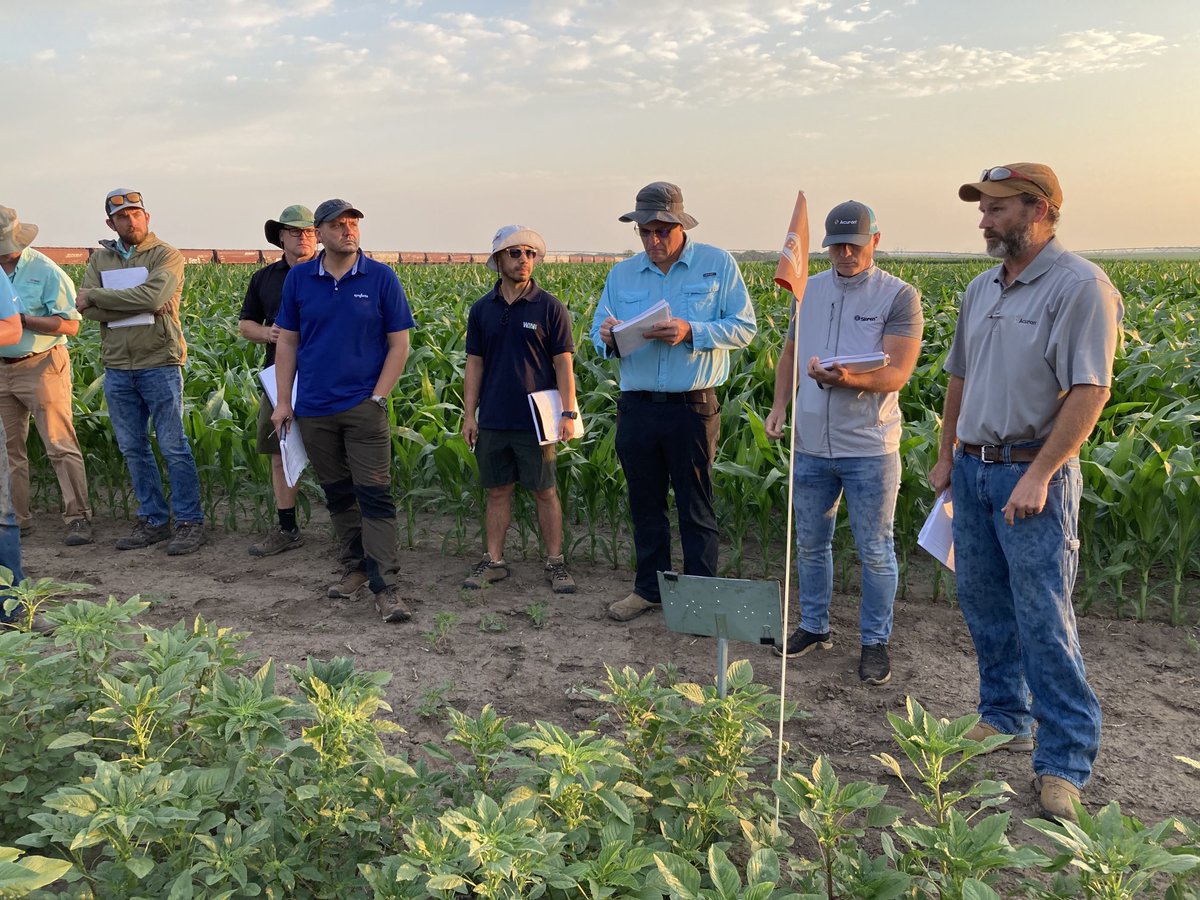 North Central Weed Science Society tweet media