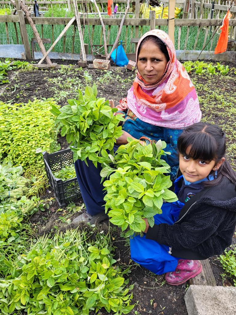 EYFSatStPhilips's tweet photo. The children in our edible garden project spent the morning at the local allotment today. We are very lucky to be helping one of our families on their plot. #allotmentlife #happychildren #growyourown @STPHILIPSCE @WeAreBDAT @OutdoorsBee @TheMontyDon https://t.co/6SiBxtLq3U