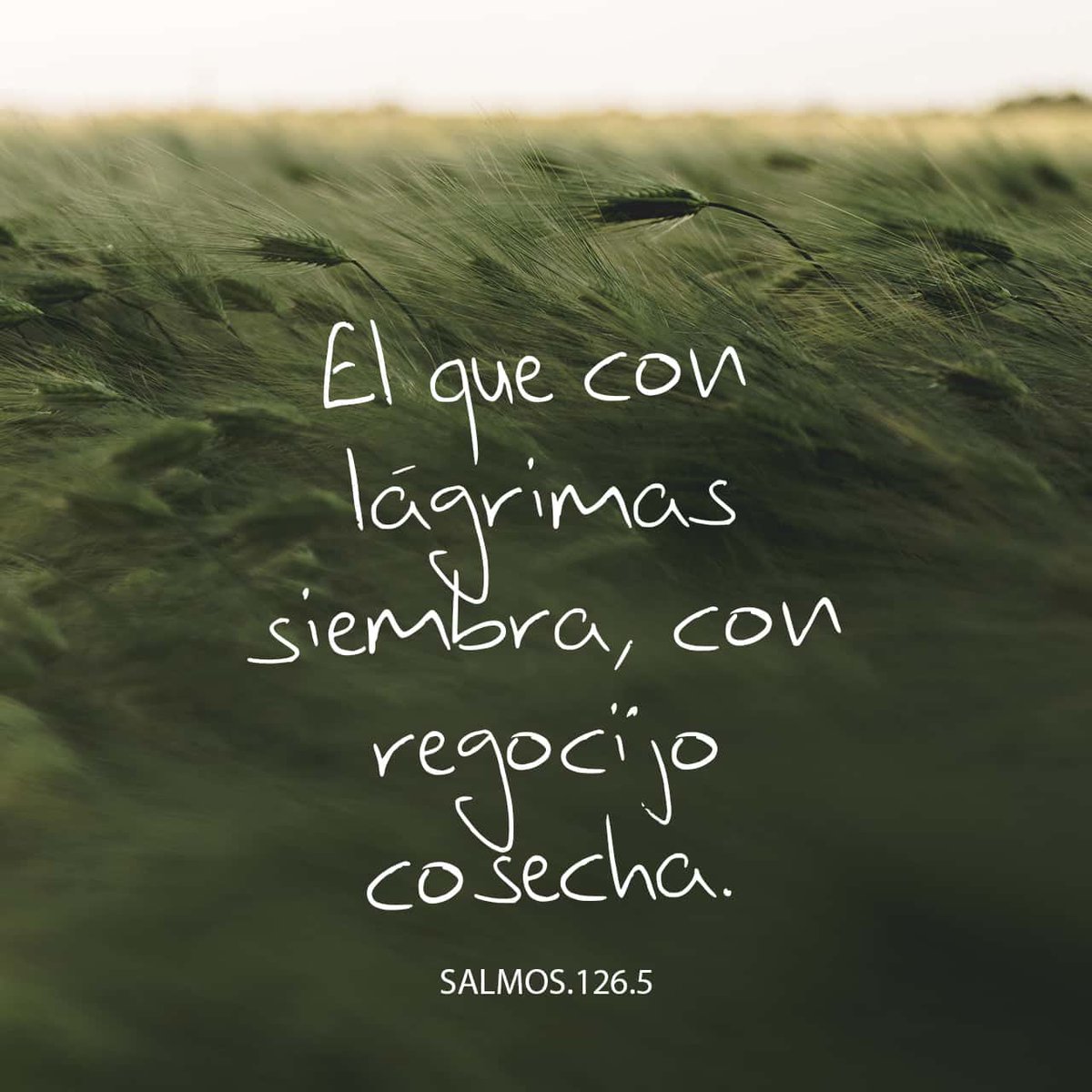 #felizmartes Confiando en Dios y el Poder Creador del Amor! 😍✊ #produciresvencer #27jun #IntegraciónTecnológica