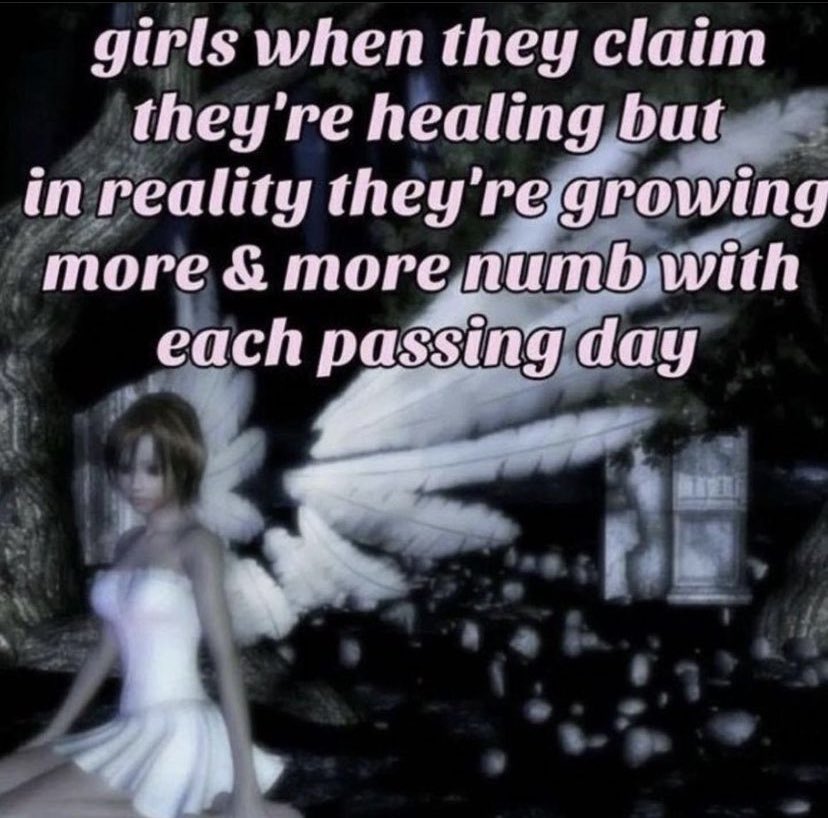 northstardoll's tweet image. 