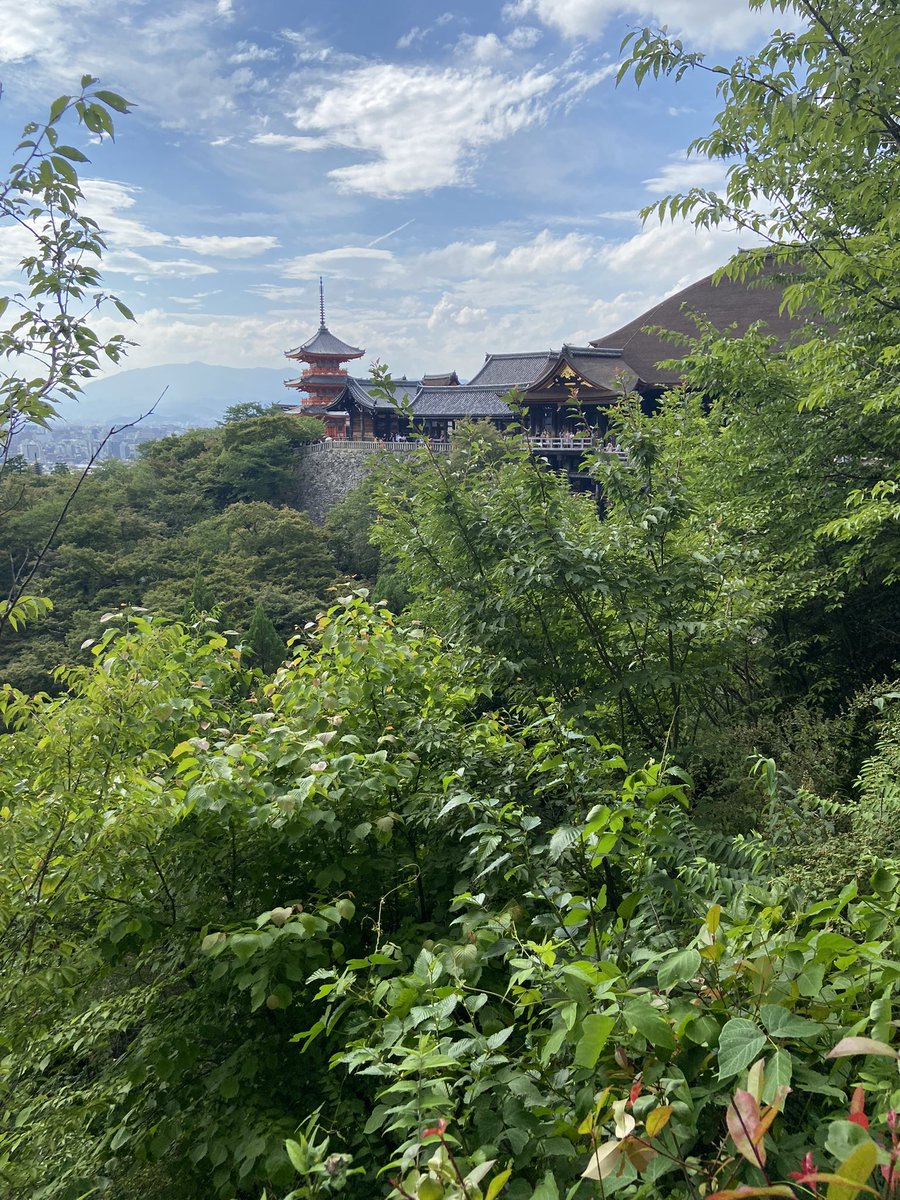4906No's tweet photo. 初京都🌟
1日目清水寺 https://t.co/ztDJHnxT83