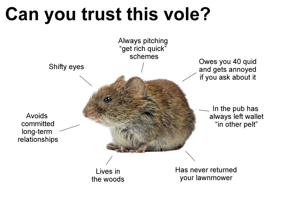 ArenaFlowers's tweet photo. Today we ask - can you trust this vole? https://t.co/IOtiK8Vsmx