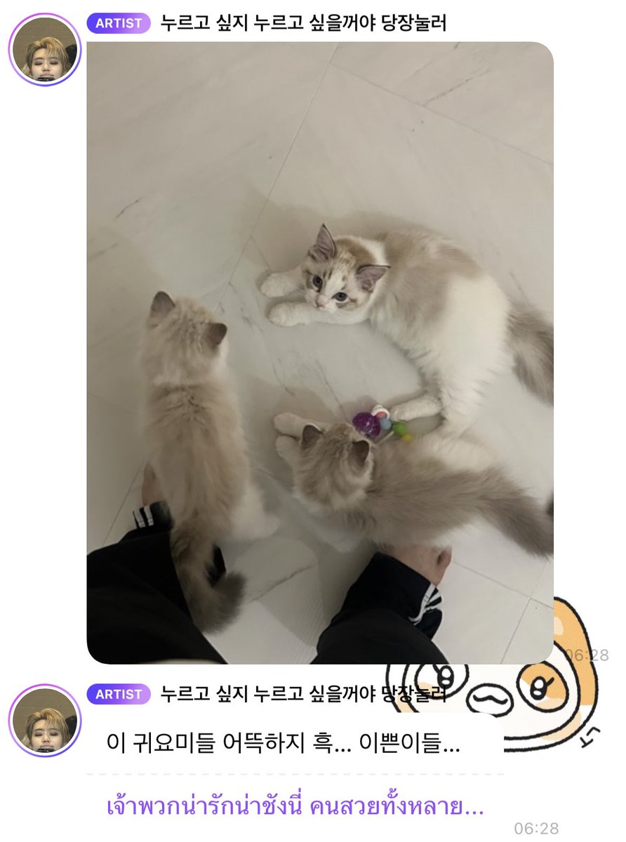 _mytriplej's tweet photo. มุง ลูน่า ลูซี่ ลูคของจริง ฮือ แจมินเป็นปะปี๊ลูกสามㅠㅠㅠㅠㅠㅠㅠㅠㅠㅠㅠㅠㅠㅠㅠㅠㅠㅠㅠㅠㅠ https://t.co/CVHQcqMPgj