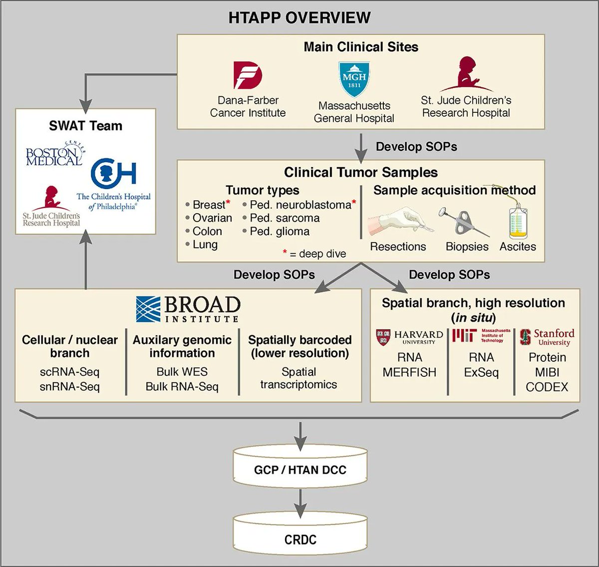 The Human Tumor Atlas Pilot Project developed methods, standard operating procedures, and data analysis tools to lay a foundation for #HTAN atlas generation projects. humantumoratlas.org/hta1 #CancerMoonshot