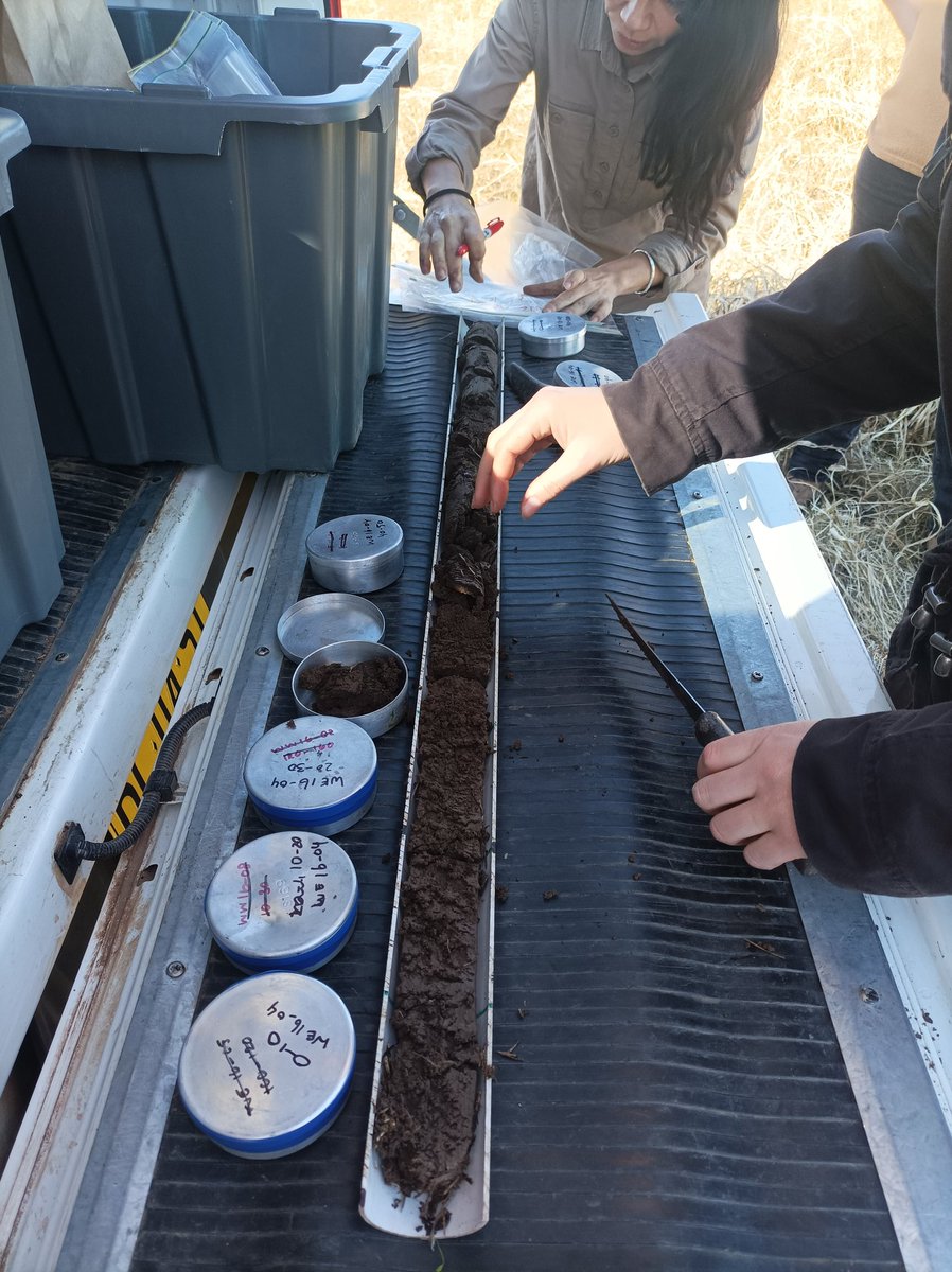 hablacetaceo's tweet photo. Very excited to join this increíble team at fieldtrip and get to learn a lot from their work in Landscape Rehydration Project in Narrabri, NSW in The UnIversity of Sydney experimental station. Thank you  @vanessapino @wv2017, Rajitha, Ella and Amanda for sharing this with us! https://t.co/knmuIn3689