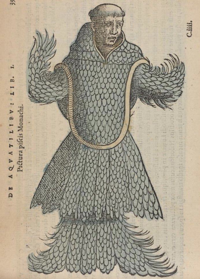 The Animals exhibition is great —  sounds from the humpback whale to the extinct Kauaʻi ʻōʻō bird as well as exquisite images &amp; illustrations including a monkfish-monk and tardigrade explorers. Great opp to visit ⬇️