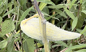 PhotoCompNet's tweet image. 18 NEW Photo Contests - Major Professional Exposure &amp;amp; Big Prizes! - mailchi.mp/photocontestin…