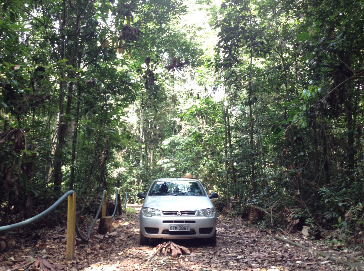 Chase Dwelle tweet media