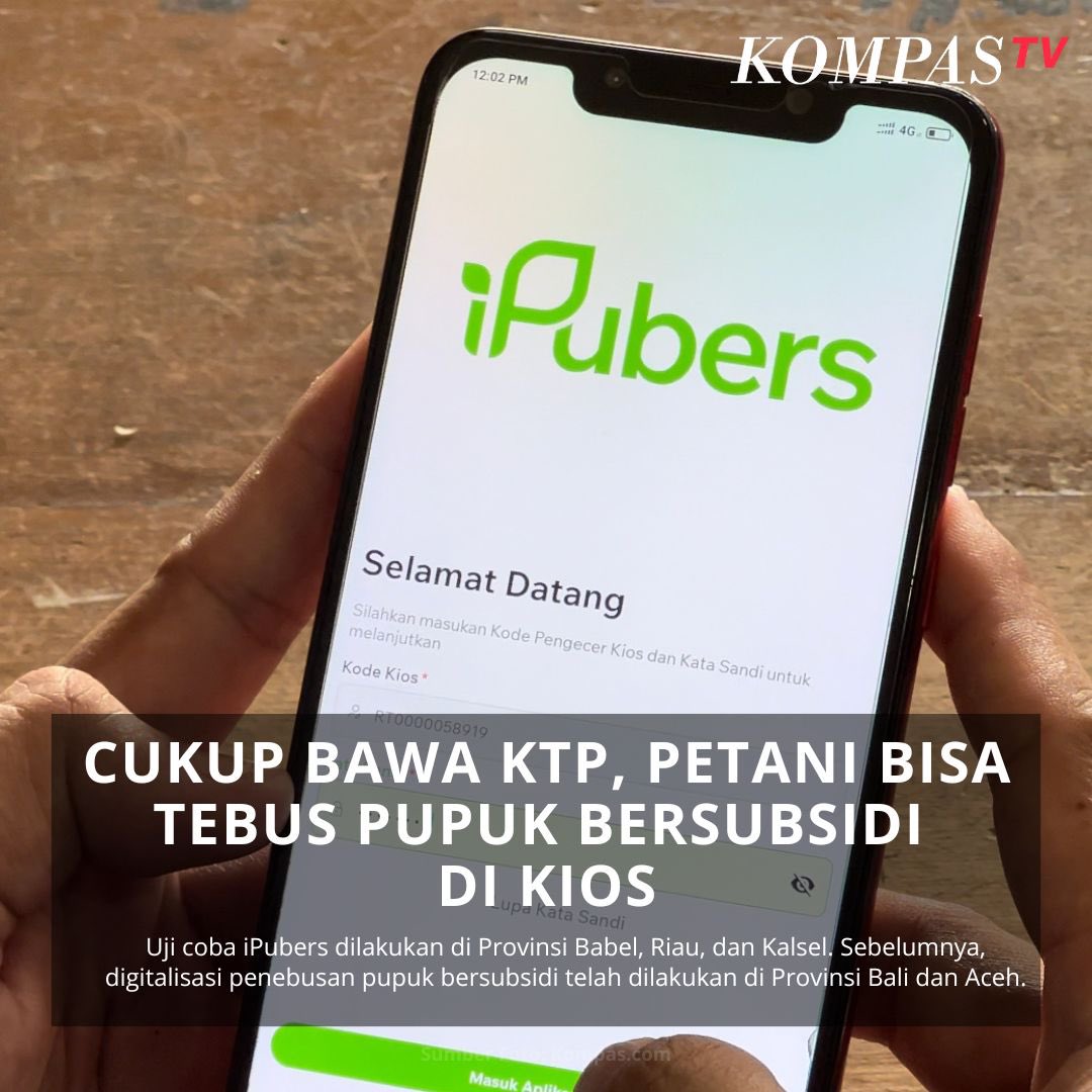KompasTV's tweet photo. Pupuk Indonesia resmi uji coba digitalisasi penebusan pupuk bersubsidi melalui aplikasi iPubers. Uji coba dilakukan di Provinsi Babel, Riau, dan Kalsel. Sebelumnya, digitalisasi penebusan pupuk bersubsidi telah dilakukan di Provinsi Bali dan Aceh. #Ad
#iPubers
#MudahTebusnyaTepatSasarannya
#PupukSubsidi