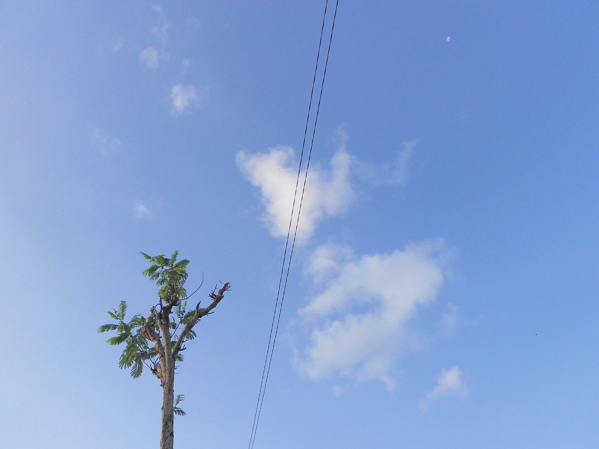 210moonsky tweet media