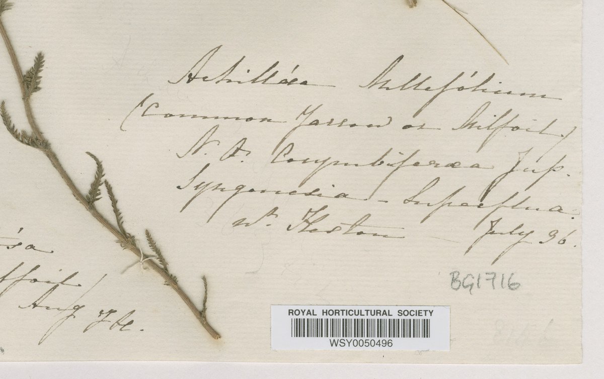 Yvette Harvey tweet media