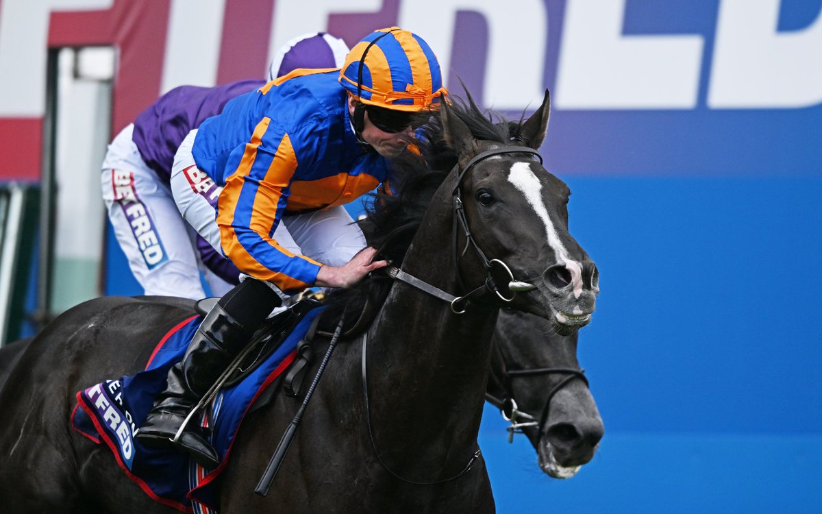 If 𝗔𝗨𝗚𝗨𝗦𝗧𝗘 𝗥𝗢𝗗𝗜𝗡 wins the G1 Irish Derby this Sunday: ✓ Ryan Moore picks up his first Irish Derby ✓ Aidan O’Brien lands his 100th European Classic ✓ First horse since Harzand to do the 🇬🇧/🇮🇪 Derby double #WorldPool | 𝗕𝗲𝘁 𝗪𝗶𝘁𝗵 𝗧𝗵𝗲 𝗪𝗼𝗿𝗹𝗱 🌎