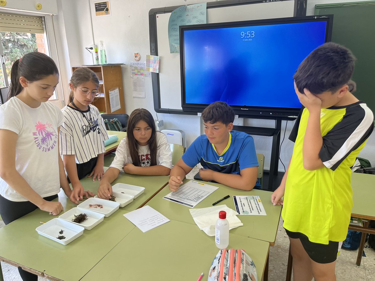 CEIPmanuelarome's tweet photo. Hemos convertido las aulas en auténticos laboratorios. https://t.co/aTM7Rh8MIQ