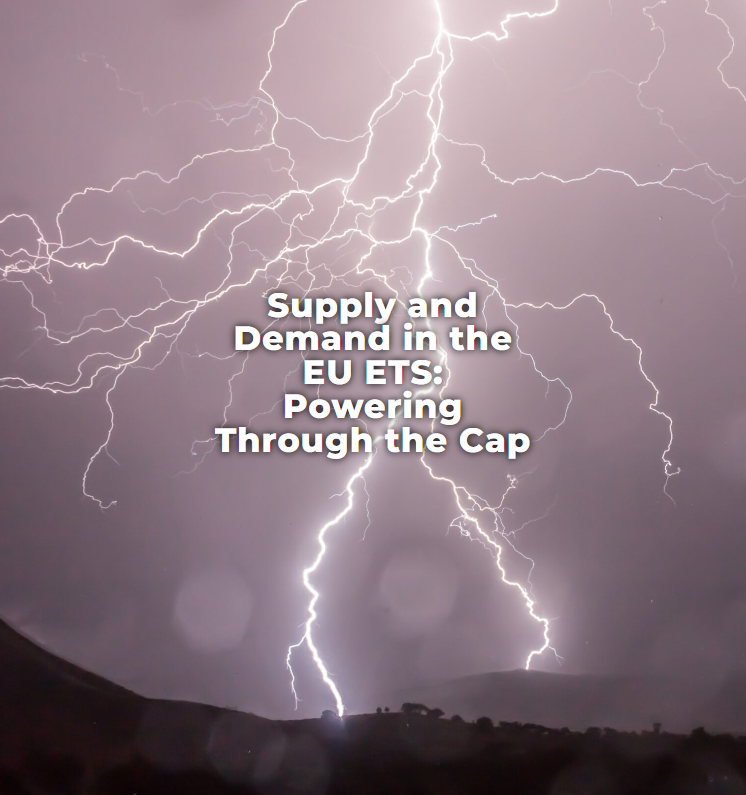 sandbag_eu's tweet photo. 🌍#EUETS reform lowered the emissions cap, but loopholes, bad incentives and support to #greenhydrogen will push emissions way above that cap.
✊Urgent actions are needed on free allocation rules, #CBAM and hydrogen to avoid a fiasco.
Read more here: https://t.co/CTQosVNUPV https://t.co/M2181sXWS3