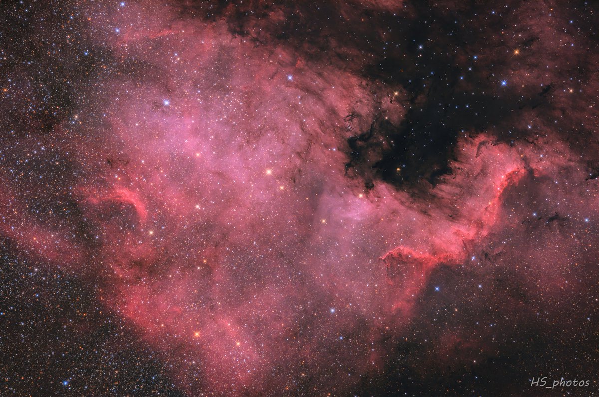 2023/6/25　宮城県 駒草平

北アメリカ星雲(NGC7000)
撮影データ
Vixen R200SS改 + コレクタPH
CANON EOS R (HKIR)
Sky Watcher EQ6R

300s × 17(85min)

途中、雲が襲来してきましたが、初めての蔵王はなかなか素晴らしい所でした☺️
