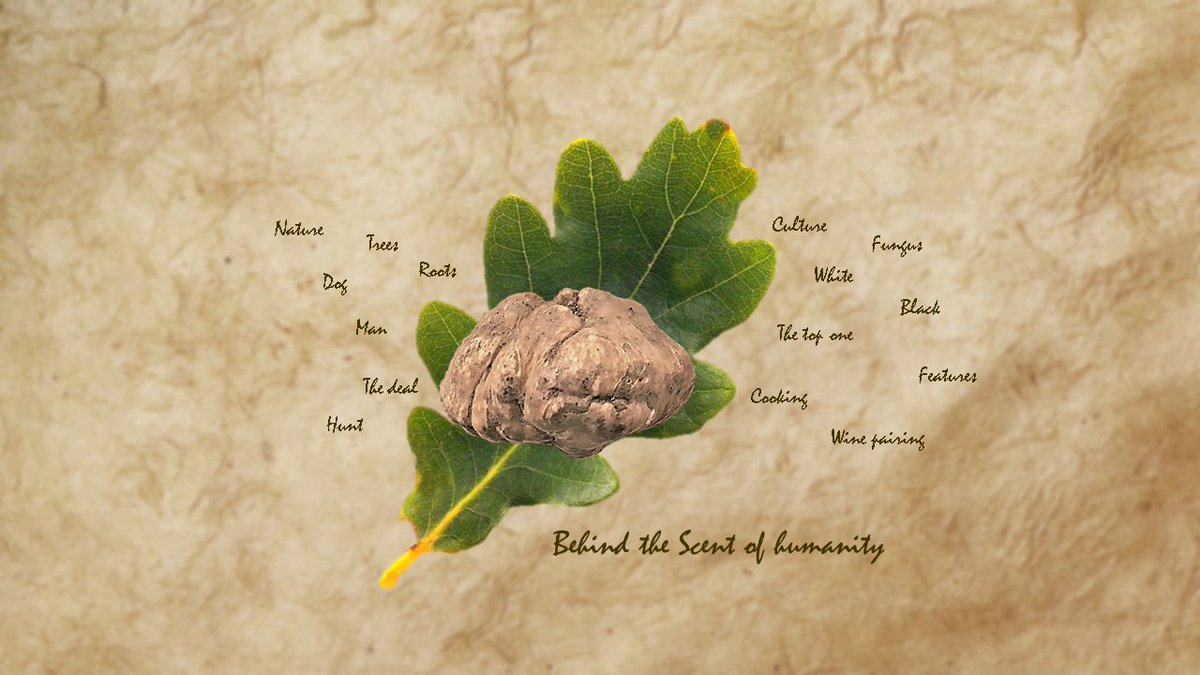 roberto bianco tweet media