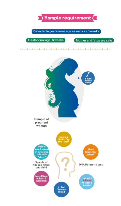 UstarBiotechltd's tweet photo. #DNAtesting#NIPT#DNAtest#pregnant https://t.co/3wztJaUDZE