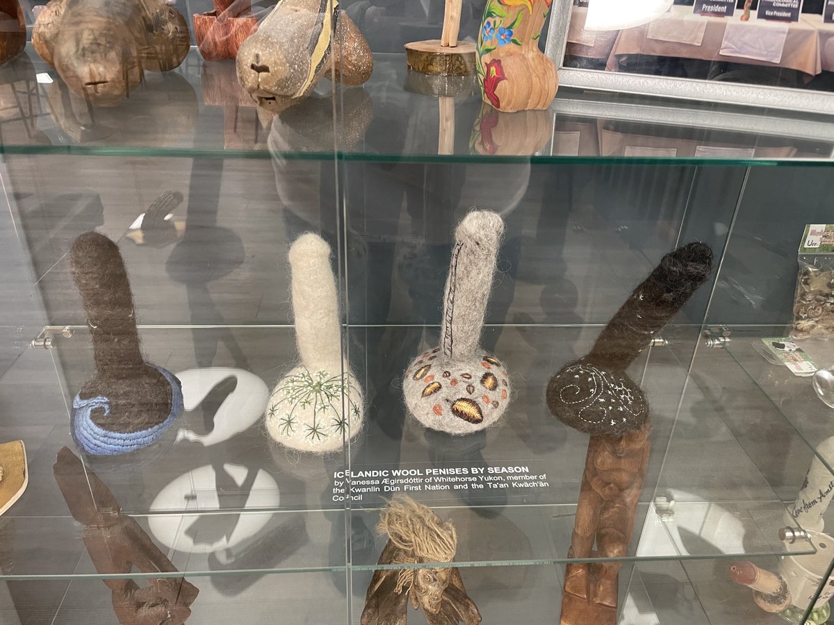 zooflute's tweet photo. ⁦@therealcrochet1⁩ Greetings from the Icelandic Penis museum https://t.co/P2RGLsusfi