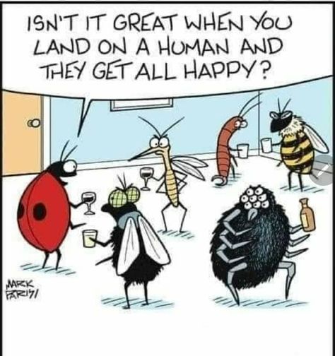 atpearthkeeper's tweet photo. Hope you get "all happy" today! #funny #cartoon #sendingsmiles #bugs #ladybug #crackingup #cutecartoon #laugh #joyful #laughter #humor #comic #giggles #chuckle #joke #ladybugluck https://t.co/FpEA6SoqwU