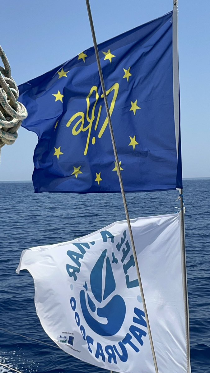 L'equipaggio di #lifeamarnatura2000 ha iniziato il tour dei #sitimarini #natura2000 della regione Lazio, l'ultima tappa di questa bellissima #campagnavelica 2023.
Nella prima giornata sono partiti da Procida per arrivare nella meravigliosa isola di Ischia.