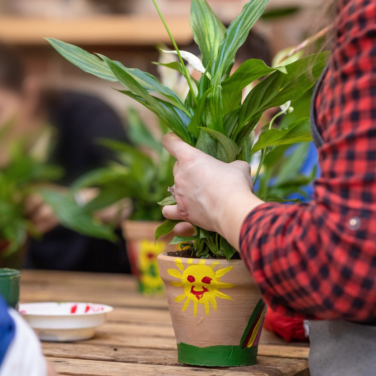 Join us tomorrow, Wednesday 28th June at 11am, for another #GIAG Plant and Paint session. 🪴 Bring along a plant pot, jar or container and get creative with paint pens then plant it up! Book now: bit.ly/42kZhN3