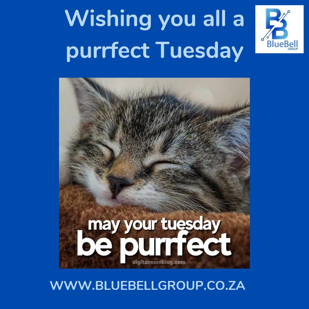BlueBellGroup's tweet photo. Because who doesn't love a kitten on a wet Tuesday.
#follow #cute #SouthAfrica #happytuesday #smile https://t.co/ID1z90XhYL