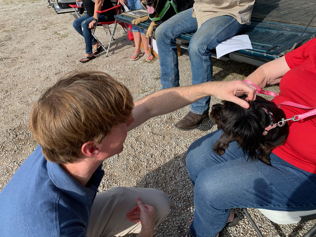 txumc's tweet photo. When first-year pastor the Rev. William Murphree invited church members to a blessing of animals, many showed up with dogs on leashes and cats in crates, or photos of pets they’d had to leave at home.

Then the cows showed up. 

https://t.co/8DgMO18mD4

#umc #txumc https://t.co/2nV4nWCgSh