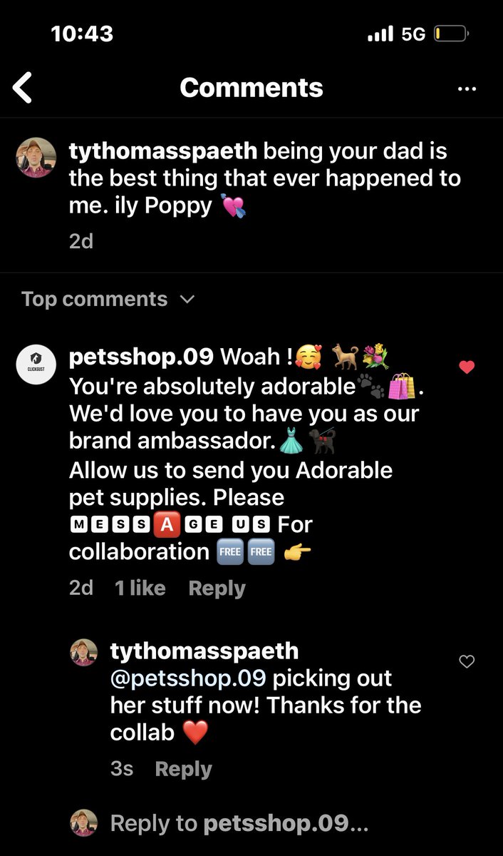 tythomasspaeth's tweet photo. Omg you guys 😍😍😍

Poppy is officially an influencer Pup! I’m the proudest Daddy today! 

She is beyond excited. I’m her manager moving forward. 

Daddyger. I love you sweetie! https://t.co/7JKJ9qeDP8