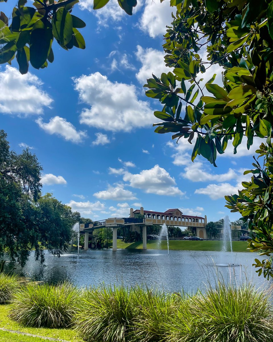 TheLakeDoctors's tweet photo. The City of Lake Mary’s pond is sure looking picturesque on this beautiful Tuesday afternoon. ☀️🌳

@AquaMaster16024 installed by our Central Florida Fountain Team.

#thelakedoctors #cityoflakemary #fountains #aquaticprofessional #pondmanagement https://t.co/5PgSL4seHa