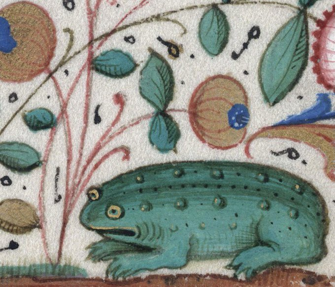 frog, france, 15th century