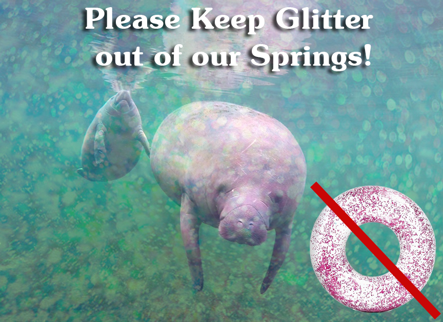 savethemanatee's tweet photo. Help us spread the word!
Glitter-filled flotation devices are no fun for our environment: These novelty floats w/ glitter inside pollute waterways when they fail, endangering the environment &amp; wildlife, incl manatees.
If you own one, please do NOT use it in a spring/ waterway. https://t.co/JsMOqIHkfm