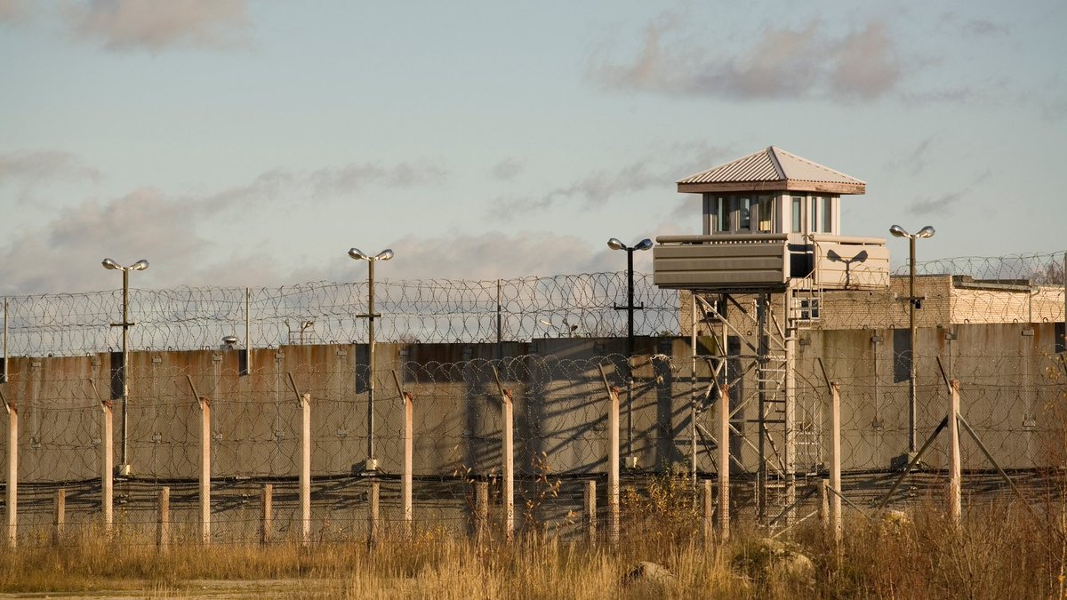 Magos Systems tweet media