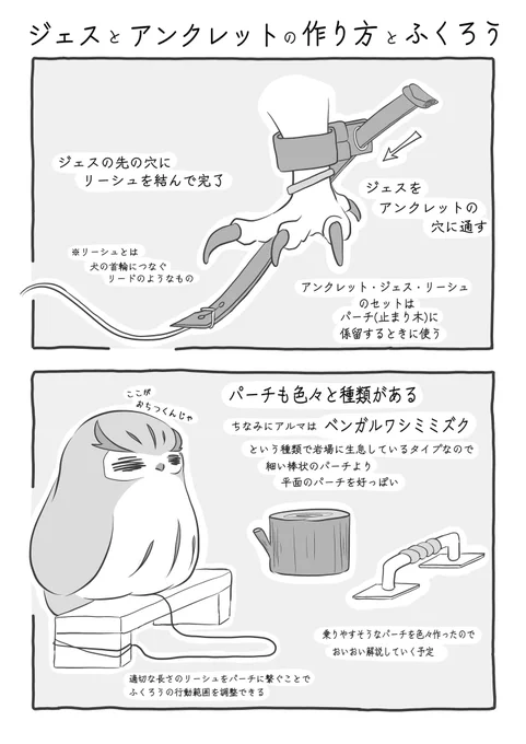 『ジェスとアンクレットの作り方とふくろう』(2/3) #ふくろうな関係 #漫画が読めるハッシュタグ
