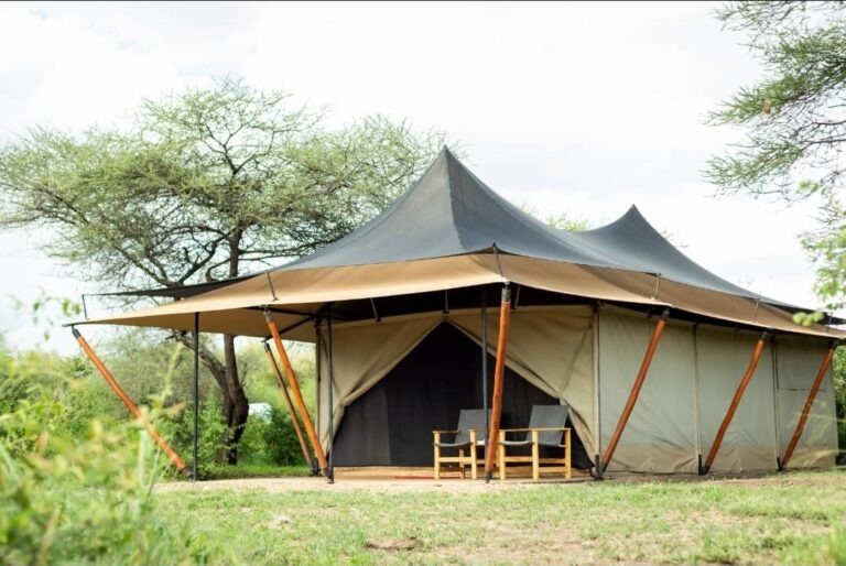 Golden Safari Camps tweet media