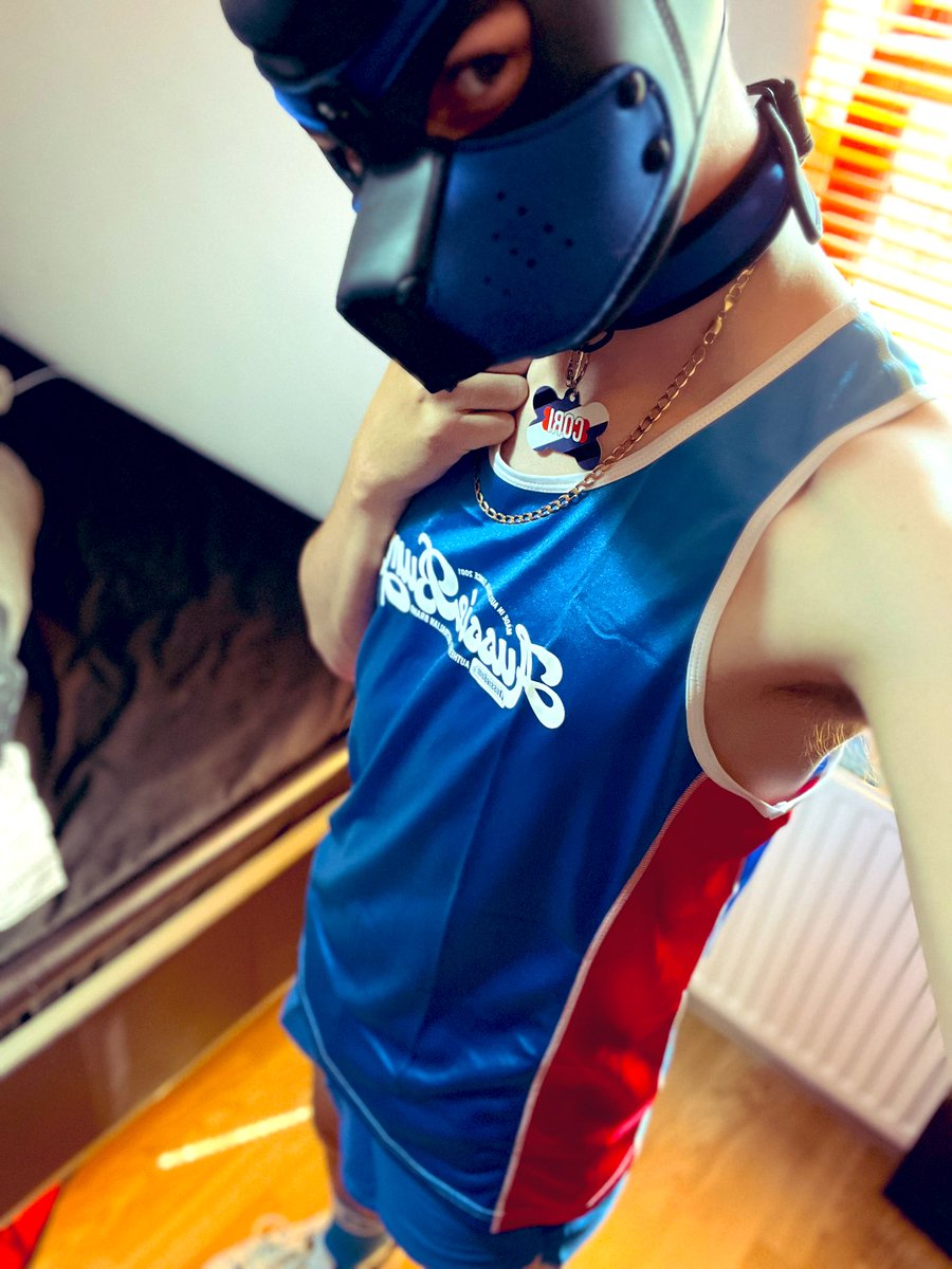 Coriwuff's tweet photo. Can never go wrong with a bit (maybe more than a bit) of aussiebum 🥰🐾 https://t.co/HXJGbJyRkL
