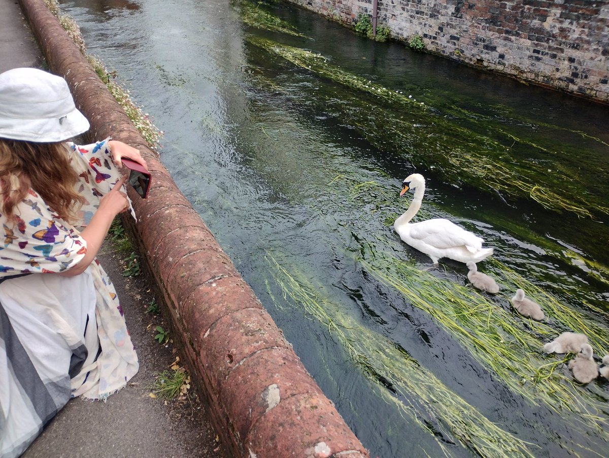 ArtCareUK tweet media