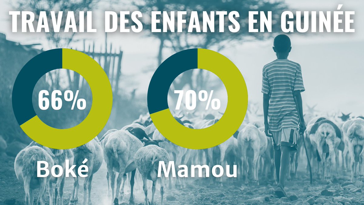 Selon une nouvelle étude du <a href="/CenHTRO/">Center on Human Trafficking Research & Outreach</a>, un nombre inquiétant d’enfants guinéens sont victimes de traite ou de travail des enfants.

🔗 : t.uga.edu/9ck #EndHumanTrafficking
