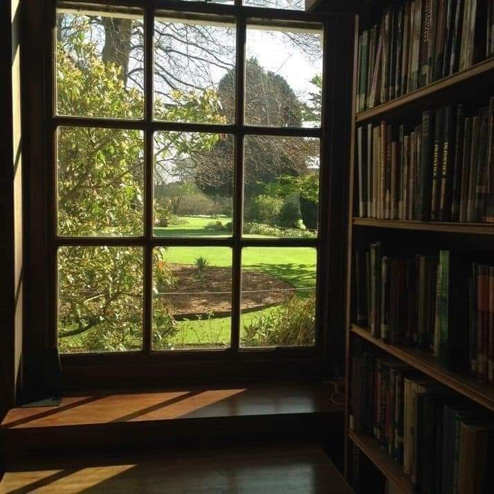 artindetails's tweet photo. go where you breathe free. https://t.co/iMpSaBb1iq