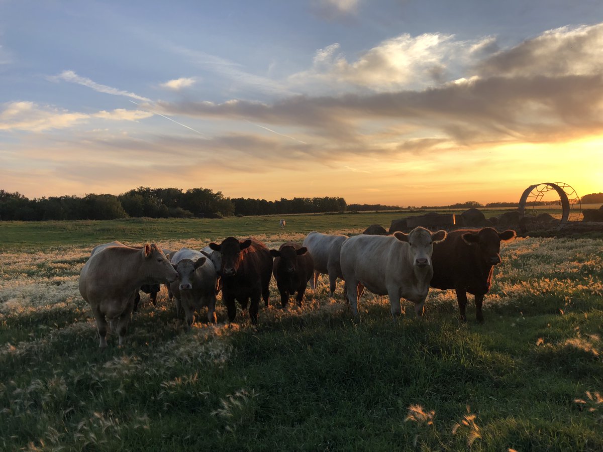 Proposed regulatory changes to the Agricultural Crown Lands Leasing Program is open for consultation at bit.ly/3IS4W6r until July 17, 2023. Provide your feedback today.