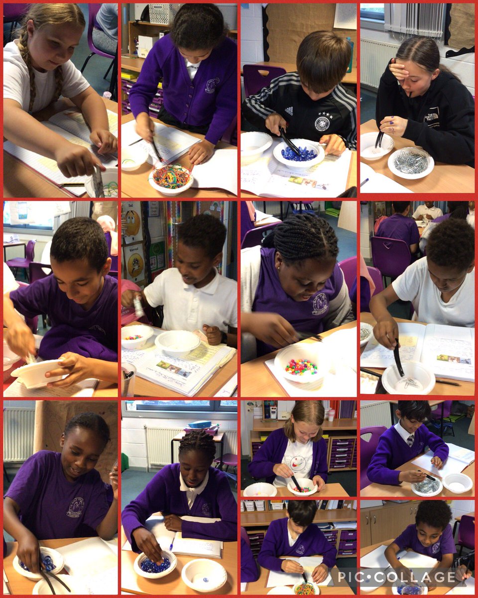 This afternoon in Science, we have discussed Darwin’s theory of evolution and investigated picking up seeds using different sized bird beaks <a href="/HolyFamilyScie1/">Holy Family Science</a>